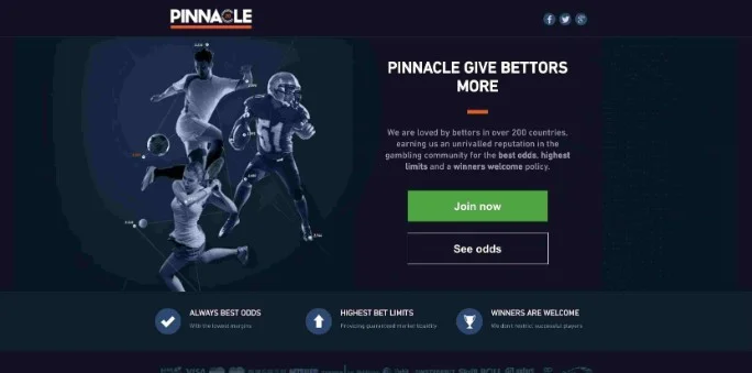 Pinnacle Sports Képernyőkép 3